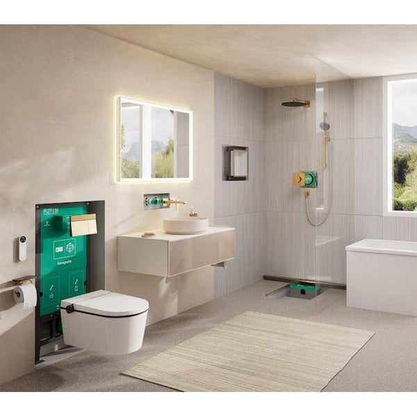 Pesuallashana Piilo - Osa Hansgrohe 13622180 Runko [6150094] |