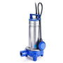 xylem-4998357