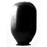 xylem-3437450