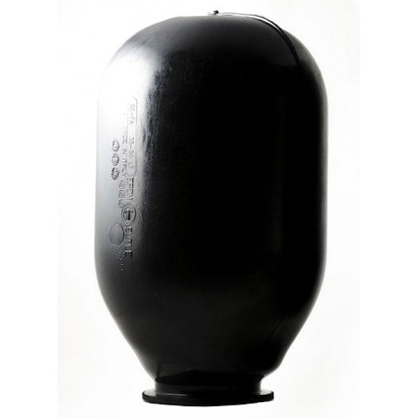 xylem-3437450
