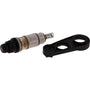 mora-6432958