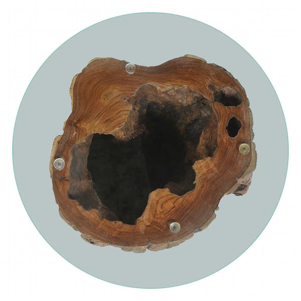 Sohvapöytä Tiikki Lasi 50X40 Cm