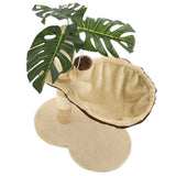 Kissan Kiipeilypuu Sisal-Pylväällä 50 Cm Beige Ja Ruskea