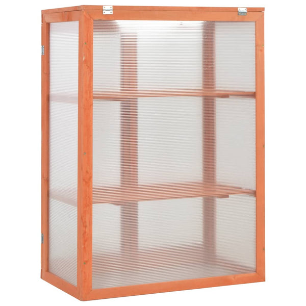 Kasvihuone Puu 75 X 47 X 109 Cm