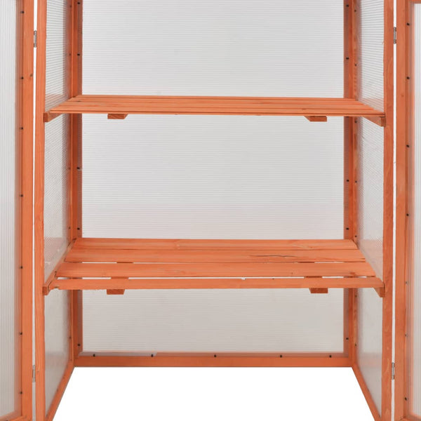 Kasvihuone Puu 75 X 47 X 109 Cm