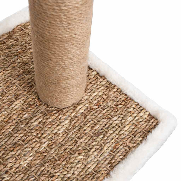 Kissan Raapimapuu Turkinhoitokaarella Ja Raapimispylväällä