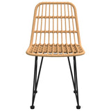 Puutarhatuolit 2 Kpl 48X62X84 Cm Pe Rottinki