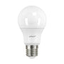 Led - Lamppu Airam Mäyräkoira A60 830 806Lm E27 Op 12Bx [4713417] |