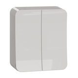 Kytkin Exxact 5/16A/Ip21 Ppj 2X Val - Fertti.com