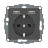 Schneider electric Pistorasia Exxact 1 - Pr + 2X Usb Lataus 2,4 Ant [2500333] |