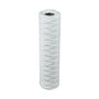 Kiintoainepatruuna Watman Hot 1 Mikron 10" [3614443] |
