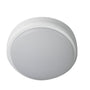 robus-4261535