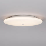 hide-a-lite-4143763
