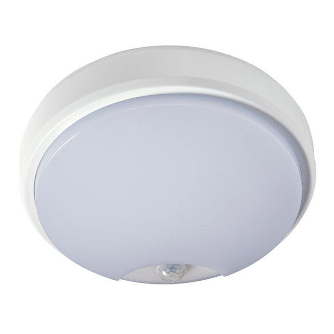 robus-4261536