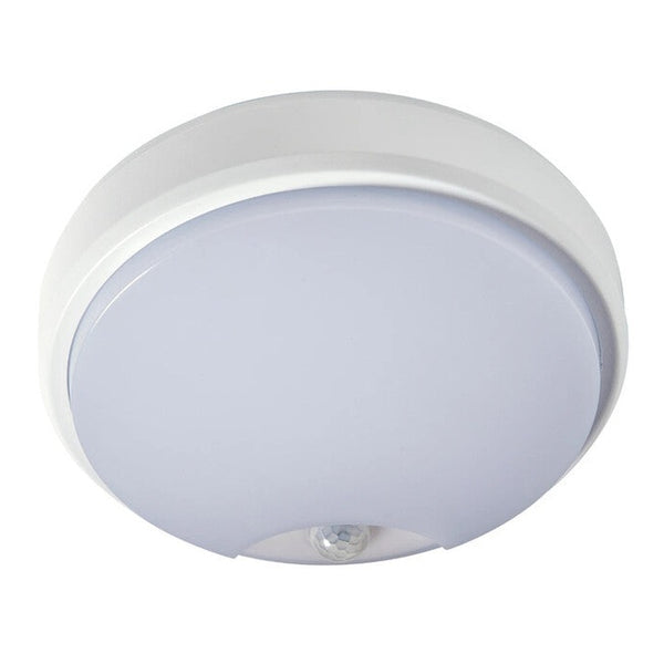 robus-4261536